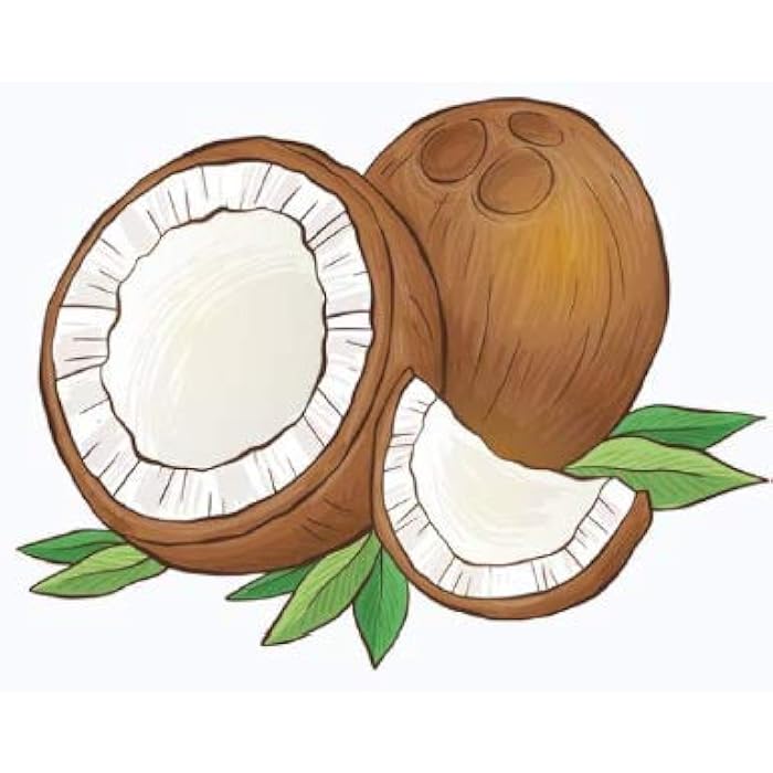 Inecto naturals super moisturising coconut conditioner - 500 ml - Image 5